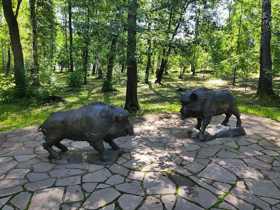 Фото 10 из отзыва о санатории Юбилейный