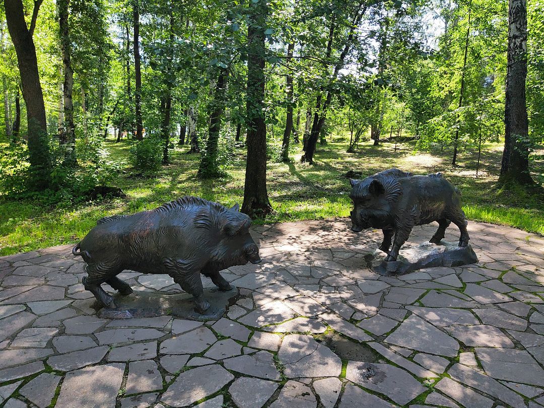 Фото 10 из отзыва о санатории Юбилейный