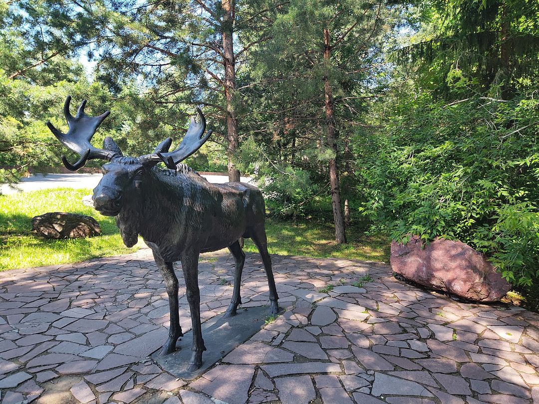 Фото 12 из отзыва о санатории Юбилейный