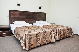 Двухместный номер Comfort Плюс с балконом 2 отдельные кровати, Санаторий Серебряный плес, Костромской район