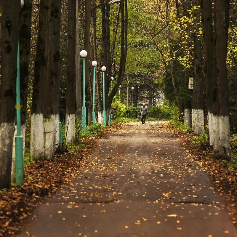 Переделкино, Московская область: фото 5