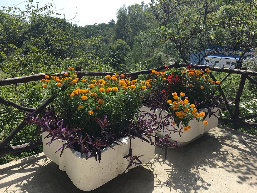 Эко 2-местный (Прованс)