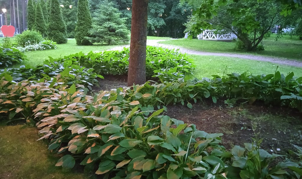 Фото из отзыва от 07.07.2025