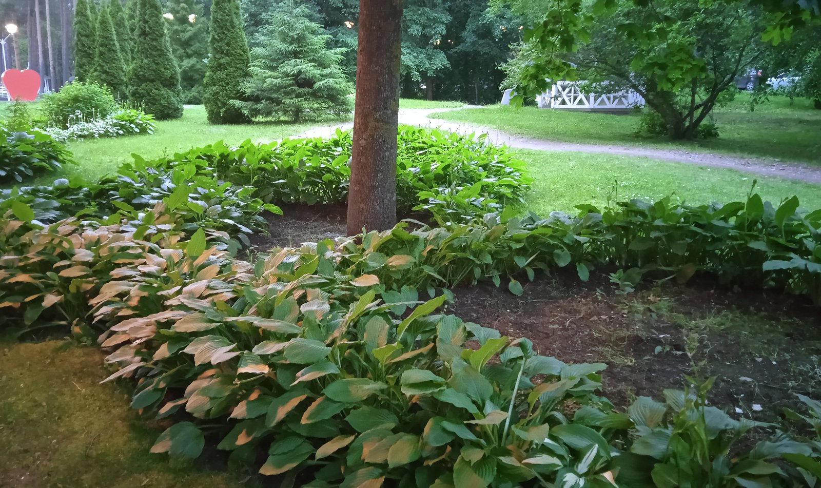 Фото 6 из отзыва о санатории Балтийский берег