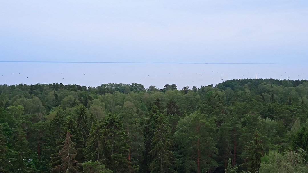 Фото 1 из отзыва о санатории Балтийский берег