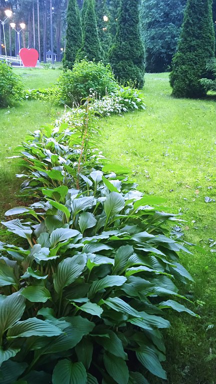 Фото из отзыва от 07.07.2025