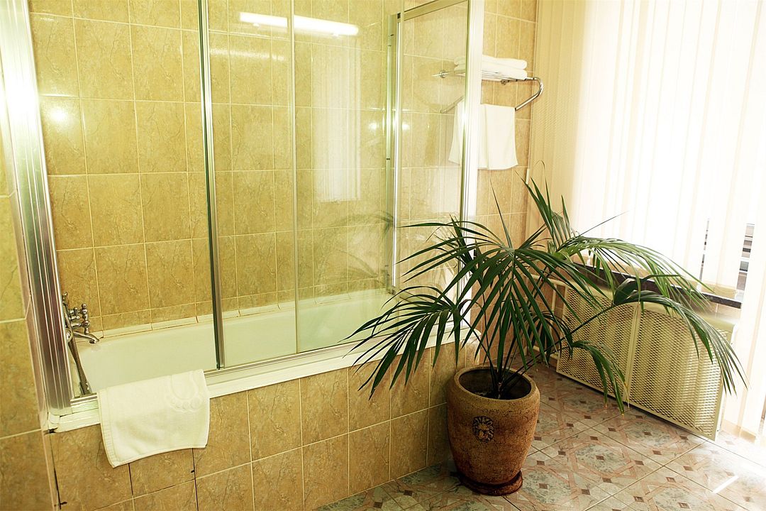 Люкс 2-местный (TWIN)