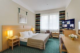 Стандартный номер с двуспальной кроватью, Отель Петр I, Москва