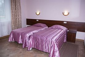 Стандарт TWIN улучшенный, Гостиница Грин Парк, Домодедово