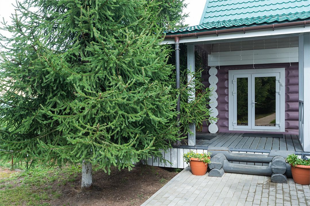 Постоялый двор ЯМ, Ленинградская область: фото 4