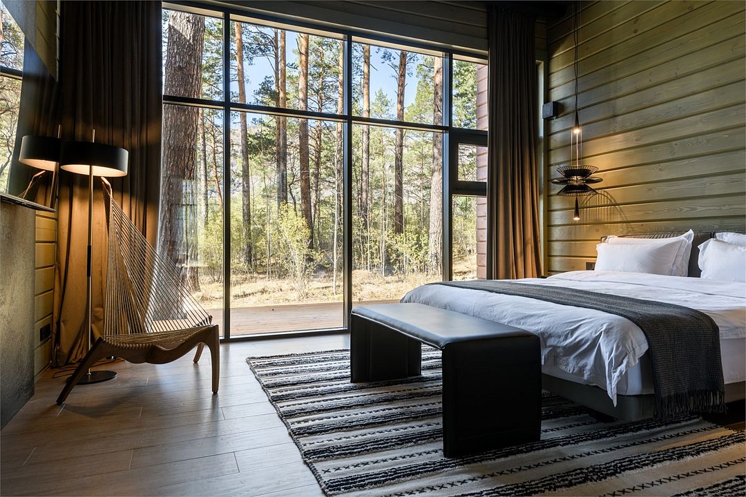 Хвоя в горах, Алтайский край: фото 2