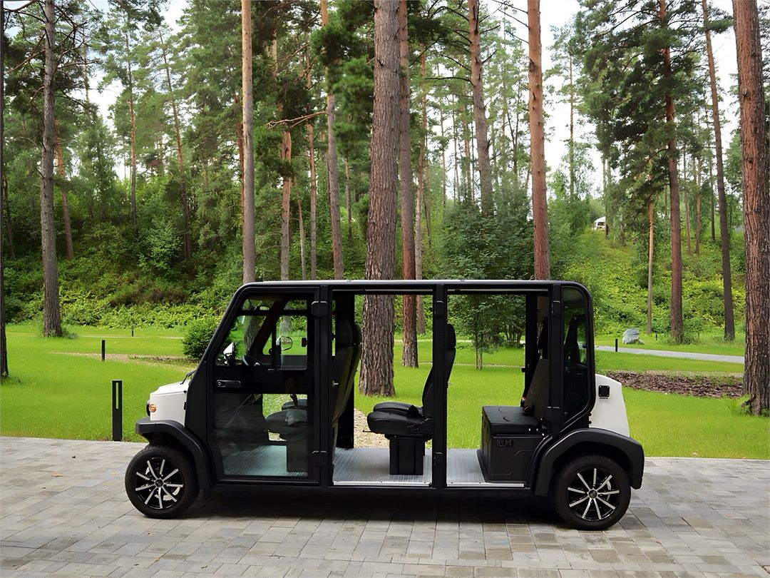 Хвоя в горах, Алтайский край: фото 5