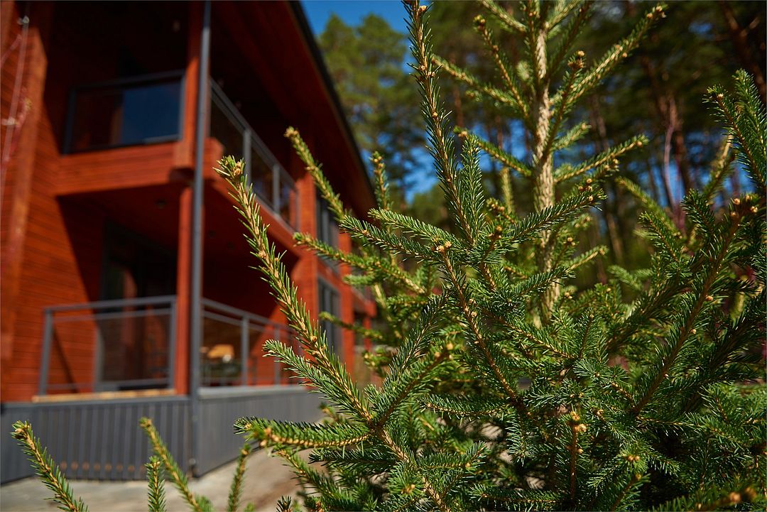 Отель Лес, Горный Алтай (Республика Алтай): фото 3