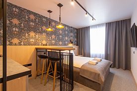 Стандарт Дабл № 202, Hotel&Braun, Барнаул