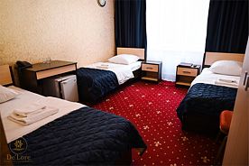 Стандартный трехместный номер, Домодедово парк-отель, Домодедово