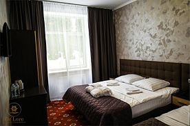 Трехместный комфорт, Домодедово парк-отель, Домодедово