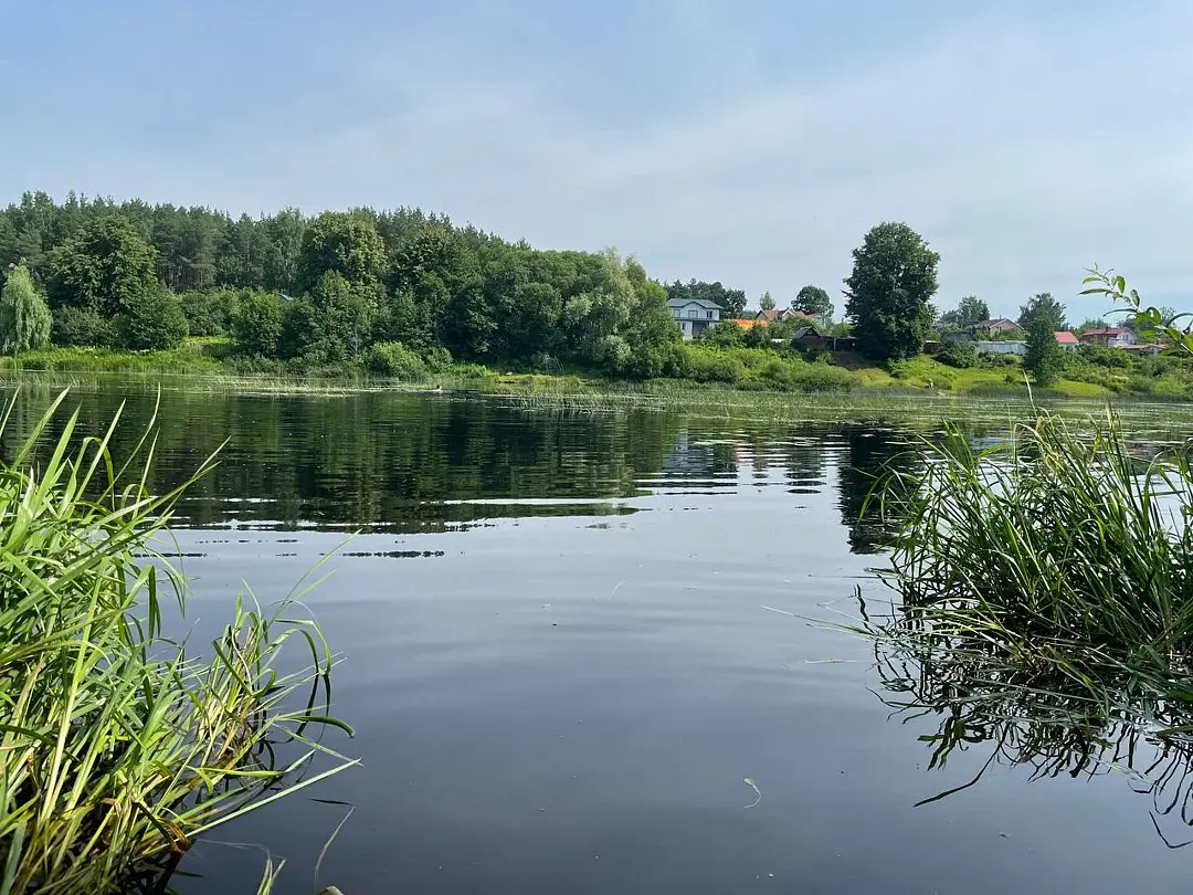 Парк-отель Черёхин, Псковская область: фото 5