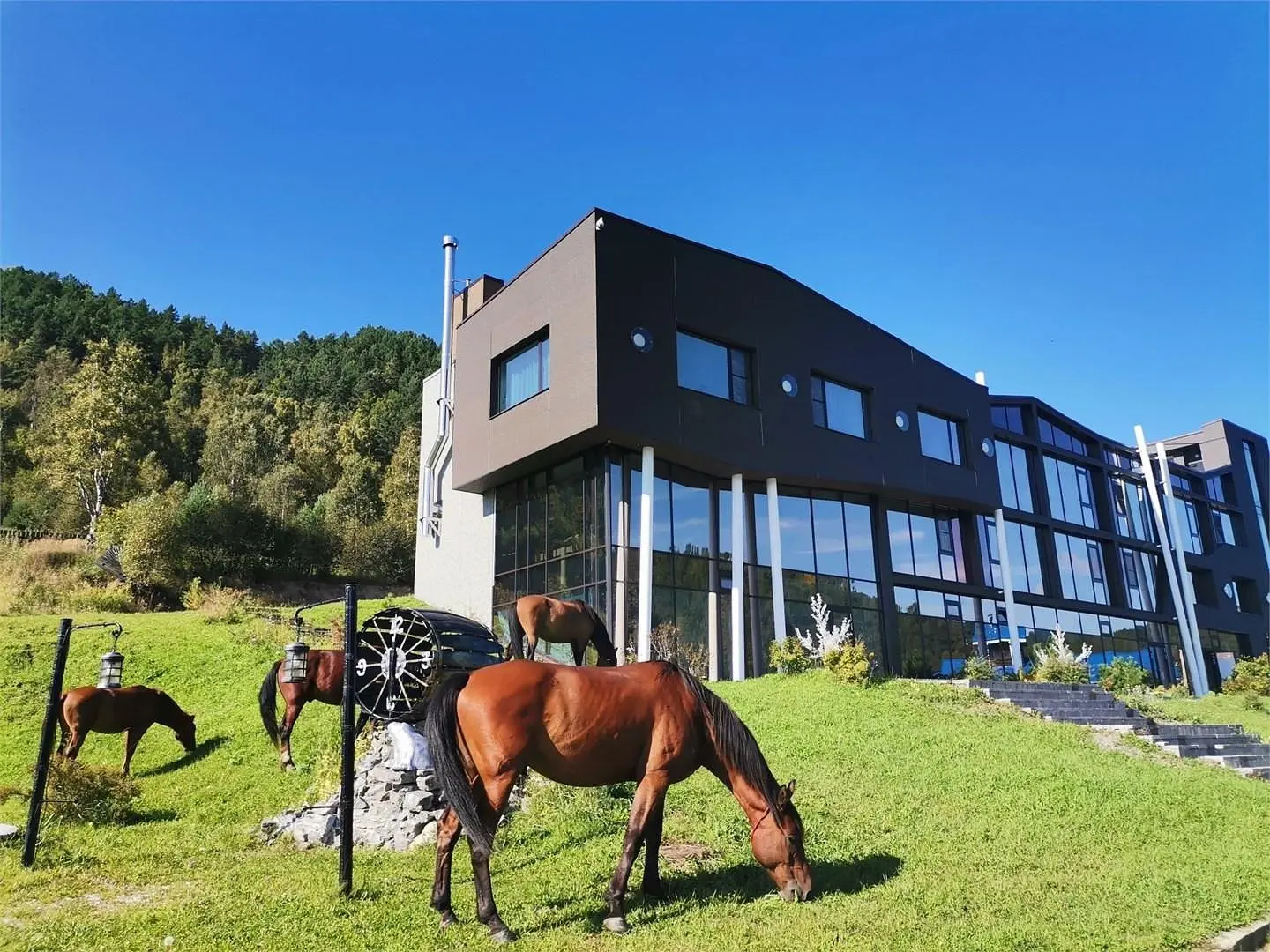 Baikal Hill Residence, Иркутская область: фото 3