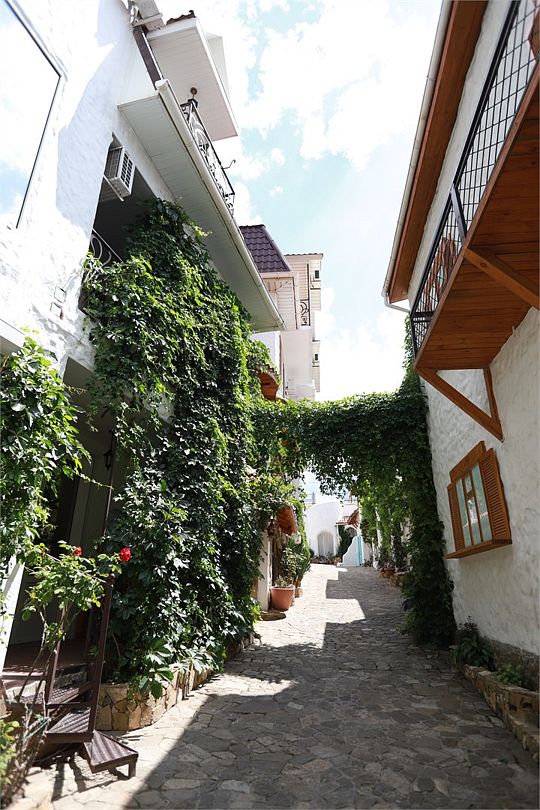 Эстет отель, Крым: фото 4