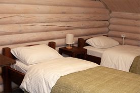 Стандарт 2-местный 1-комнатный, Курорт Баден-Баден Термы Курган, Кетовский район