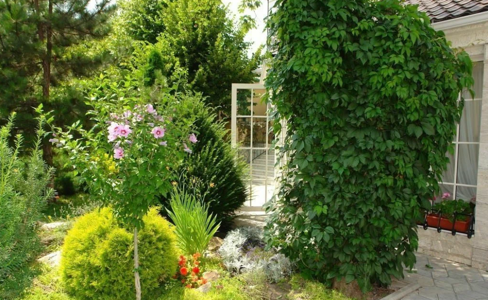 Крокус SPA, Ставропольский край: фото 3