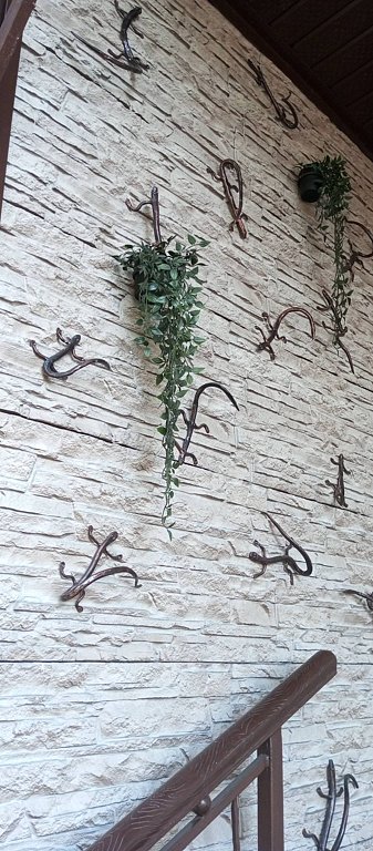 Фото из отзыва от 27.07.2025