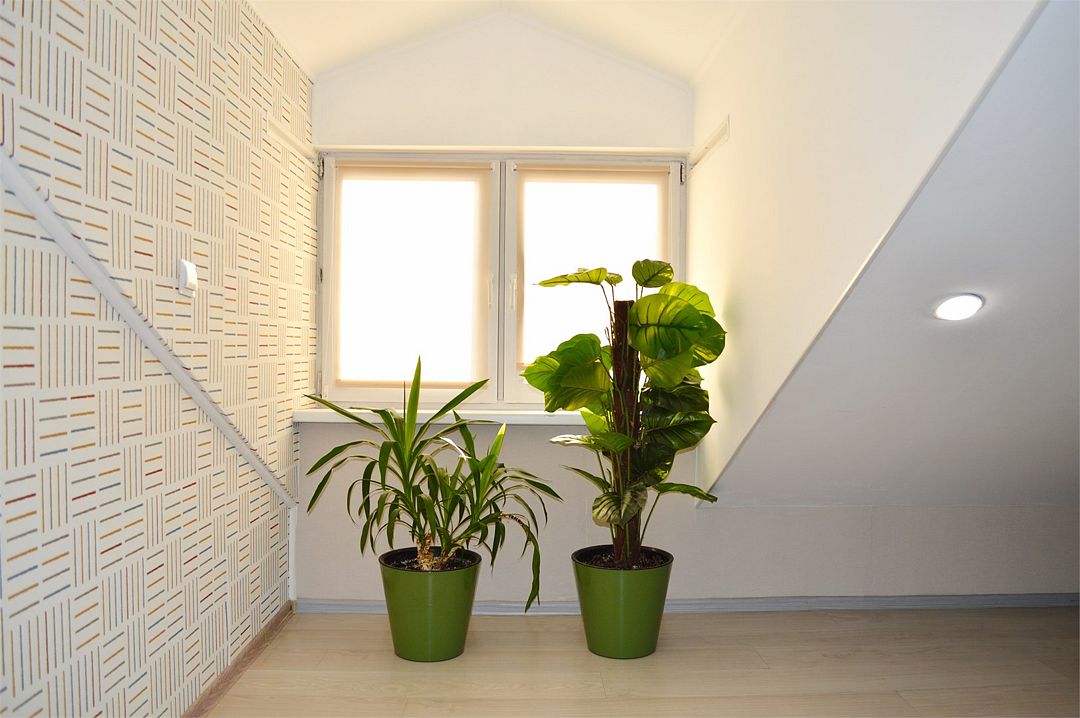 Апартаменты 2-местный 2-комнатный