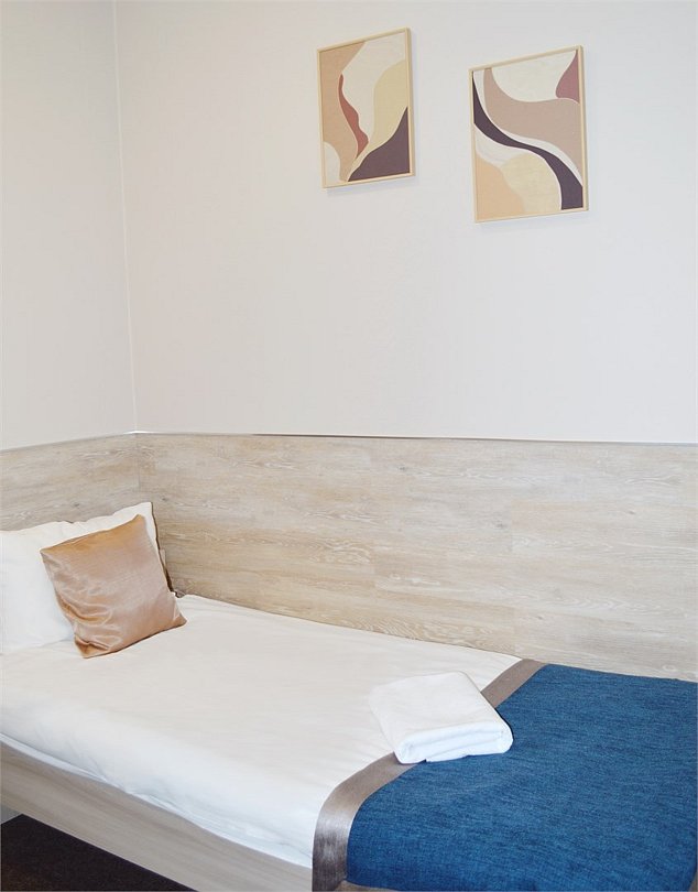 Стандартный 2-местный 1-комнатный (TWIN)