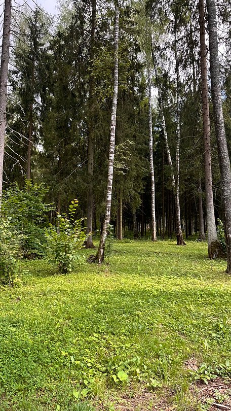 Фото 9 из отзыва о курорте Пересвет Русские Сезоны