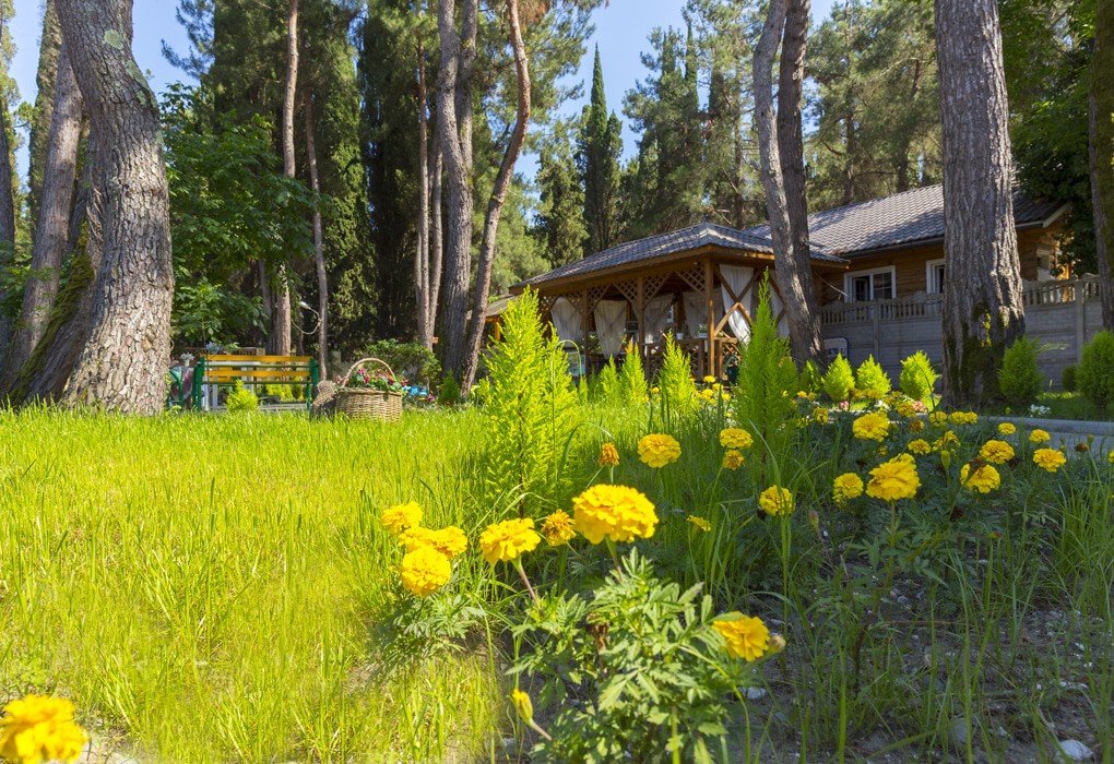 Duglas , Гагрский район: фото 2