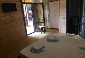 2-мест. станд.-плюс, Гостевой дом Duglas , Пицунда