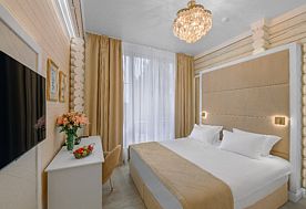 2-мест. Standard, СПА-отель AMK Montis Club, Железноводск