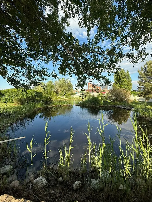 Рай у пруда, Волгоградская область: фото 3
