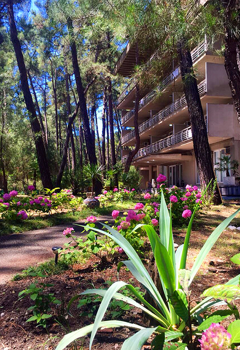 Пансионат Лдзаа Госдача, Гагрский район, Пицунда Алахадзы Гагра Пицунда, Абхазия