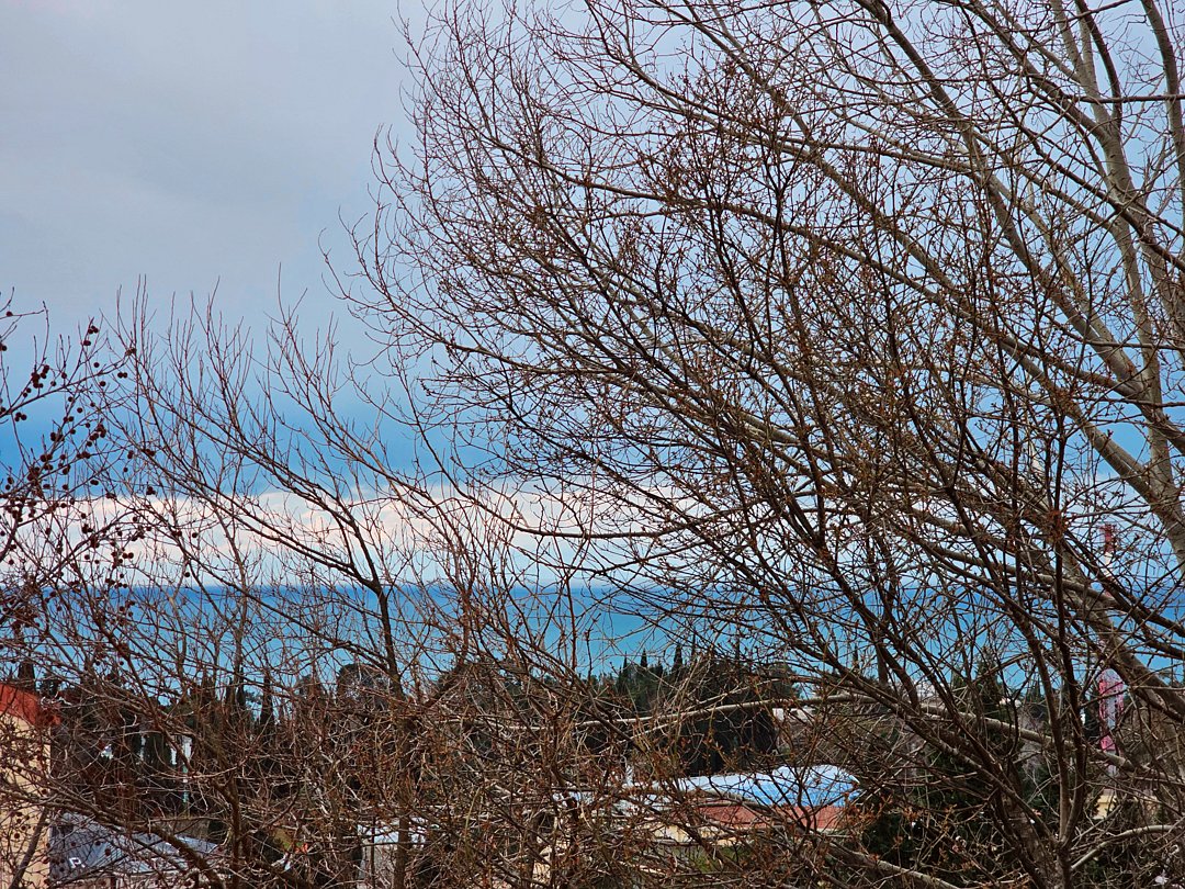 Апартаменты Делюкс 2-местный 1-комнатный