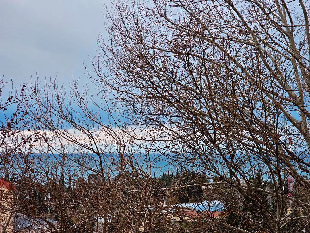 Апартаменты Делюкс 2-местный 1-комнатный