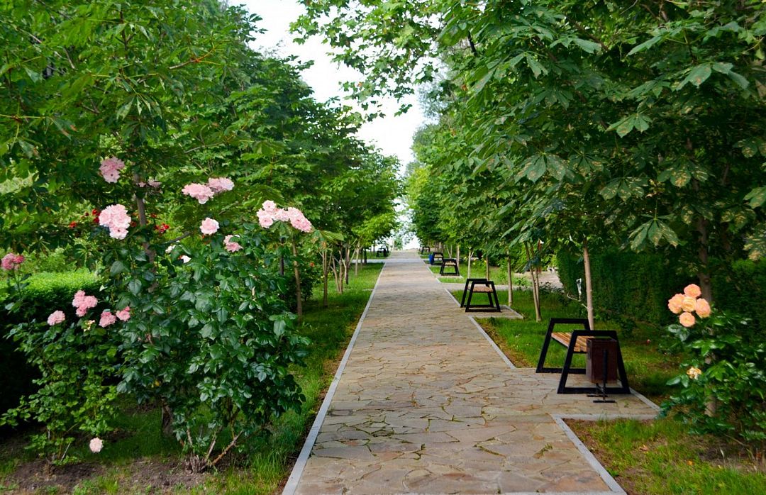 Южный берег, Краснодарский край: фото 5