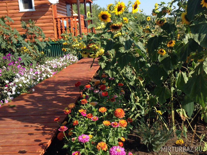 База отдыха и рыбалки Колючий окунь, Воронежская область, Бутурлиновка 