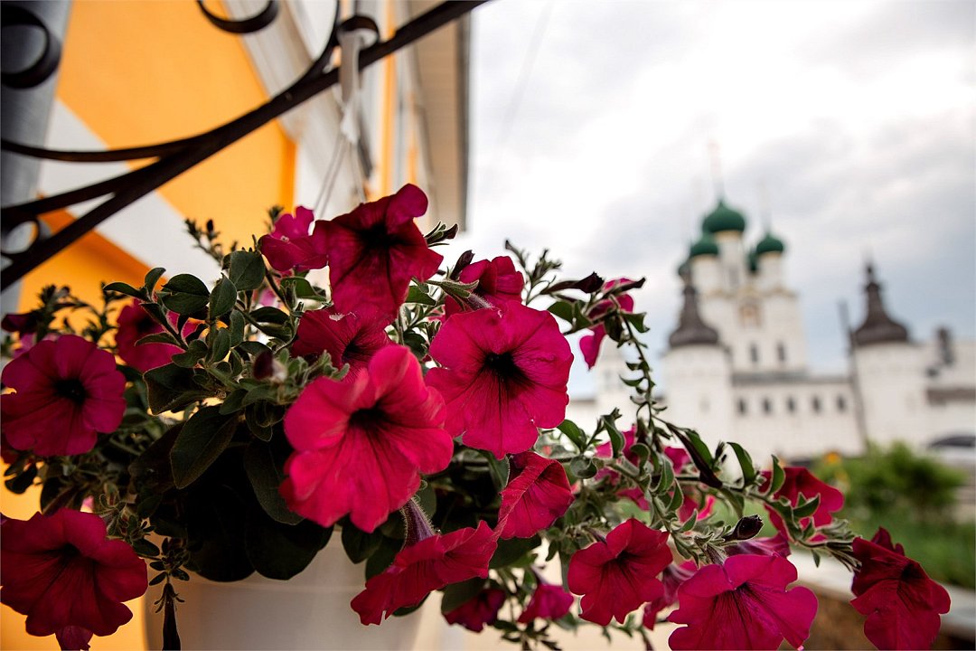 Боярский Двор, Ярославская область: фото 5