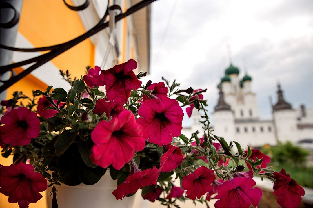 Боярский Двор, Ярославская область: фото 5