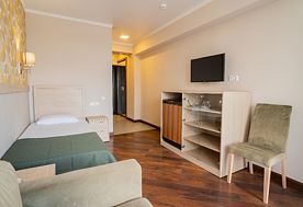 1-мест. станд., Пансионат Литфонд, Пицунда