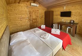 1-мест. (разм. в 2-мест.) коттедж, Гранд отель Абхазия, Гагра