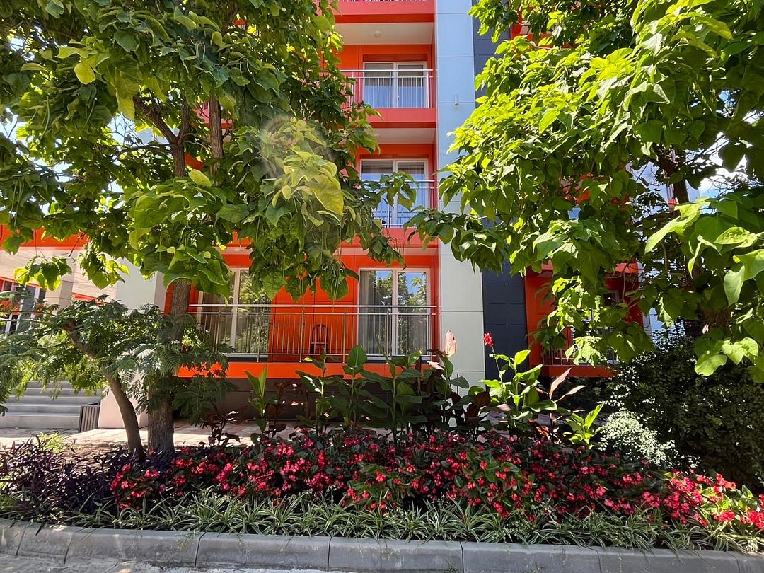 Звёздочка, Краснодарский край: фото 2