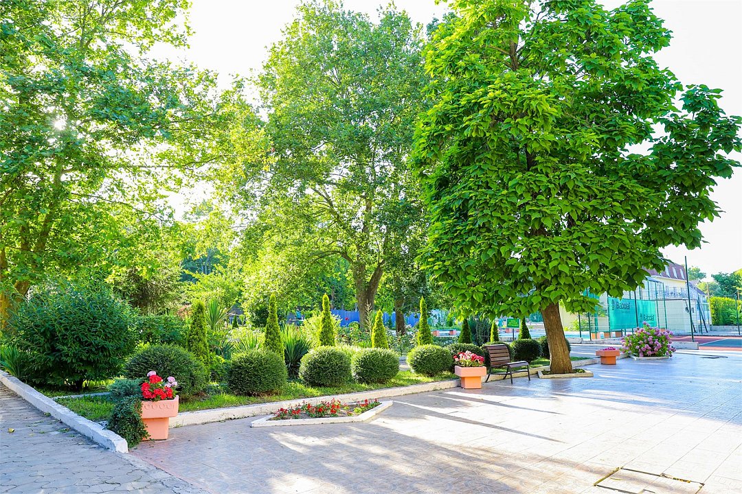 Звёздочка, Краснодарский край: фото 5