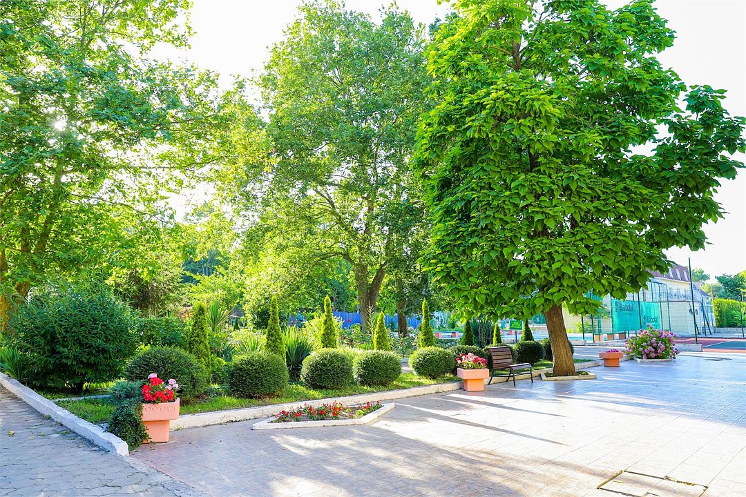 Звёздочка, Краснодарский край: фото 5