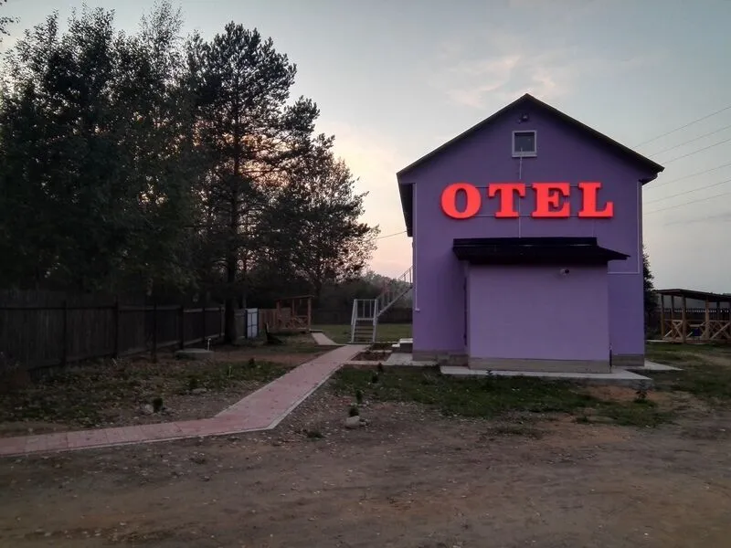 Лето, Ленинградская область: фото 2