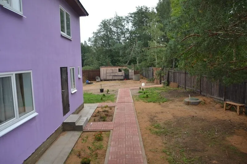 Лето, Ленинградская область: фото 3