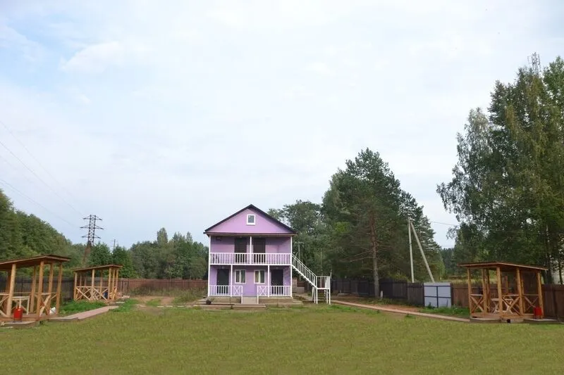 Лето, Ленинградская область: фото 4