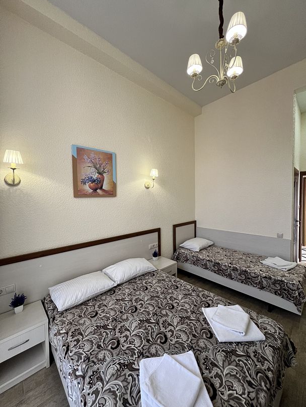 Стандартный 3-местный (с террасой)