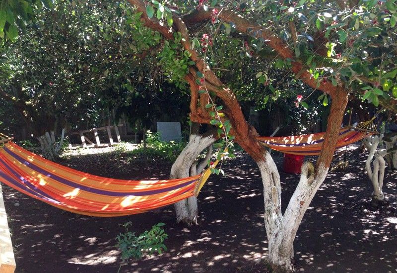 Анхара , Гагрский район: фото 4